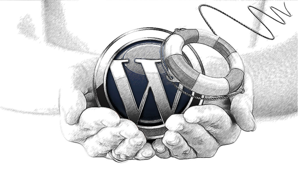 WordPress logo and lifebouy. WordPress support from Code Word Digital at the ready when you go live. 
