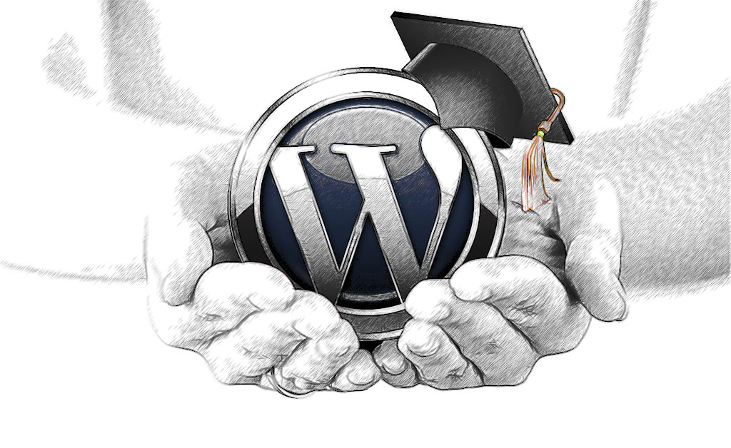 WordPress training can help secure your investment when your website goes live.